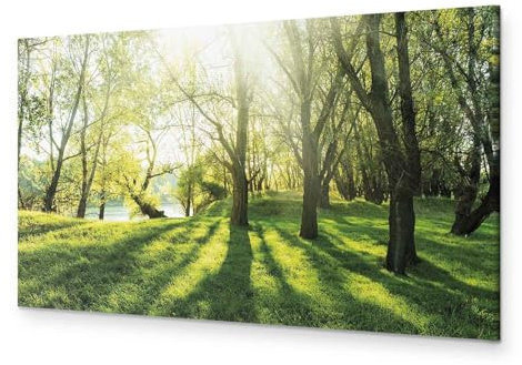 B&D XXL - Handart Landschaft Kunstdruck auf Leinwand 120x40 cm 1 tlg Groß Kunstbilder wie Handgemalte Wandbilder XXL mit Acrylgel beschichtet Wand Bilder mit Struktur Natur Bäume Wald c-B-0053-b-a
