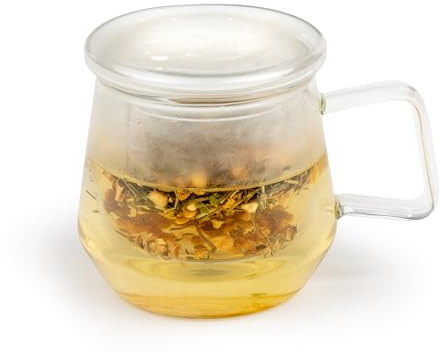 Bredemeijer Teeglas 350 ml mit Glas-Teefilter & Glasdeckel - einwandige transparente Tea for One Glas-Teetasse für 1 Tasse losen Tee