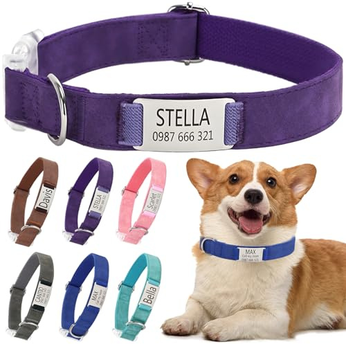 Hundehalsband mit Namen Telefonnummer - Halsband Hund Personalisiert, Bequeme, Einzigartige Halsbänder, Geeignet für Kleine, Mittelgroße und Große Hunde und Katzen(M,Lila)