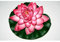 kunstpflanzen-discount.com Künstliche schwimmende Seerose Lotusblüte mit rot weißen Blüten und 17,5cm Durchmesser aus Schaumstoff für Pool Teich