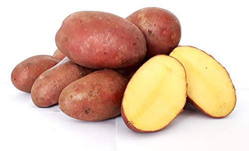 Kartoffeln Desiree vorwiegend festkochend ( halbmehlig ) rote Kartoffel 10 Kg