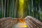 adrium Acryl-Bild 60 x 40 cm: Arashiyama Bambuswald in Kyoto Japan(54115086)