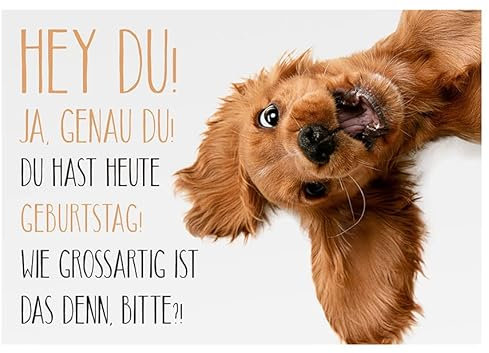 Postkarte A6 +++ LUSTIG von modern times +++ HEY DU! JA, GENAU DU! DU HAST HEUTE GEBURTSTAG! +++ ZWEITGEIST/Foto:Adobe Stock / master1305