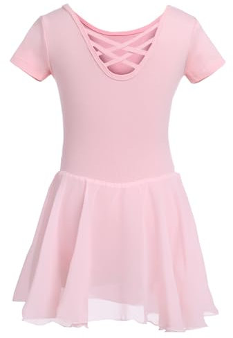 DGSHIRLDJO Ragazza Vestito da Balletto Danza Tutu Corpo Ginnastica Cotone Manica Corta con Chiffon Gonna (120, rosa)
