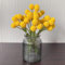 30 pcs trommelstöckchen samen, topfpflanzen echt, winterharte stauden mehrjährig, trommelstock pflanze samen (Craspedia globosa) blumen samen, plants blumen balkon, bonsai samen gastgeschenk