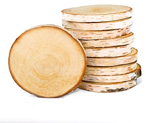 Birkenscheiben rund Ø 8-11cm Baumscheiben aus Birkenholz Naturholz unbehandelt mit Rinde, Holzscheiben für DIY Handwerk, Basteln, Holzdeko Hochzeit, Tischschilder, Untersetzer (5er-Pack)