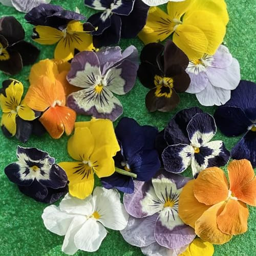 Edible Freeze Dried Viola Flowers - 40 Heads - Certified Food Grade (389)