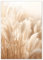 Wandbild Wohnzimmer Boho Style 50x70 cm Pampasgras Modern Beige - Poster Schlafzimmer natur groß Boho16