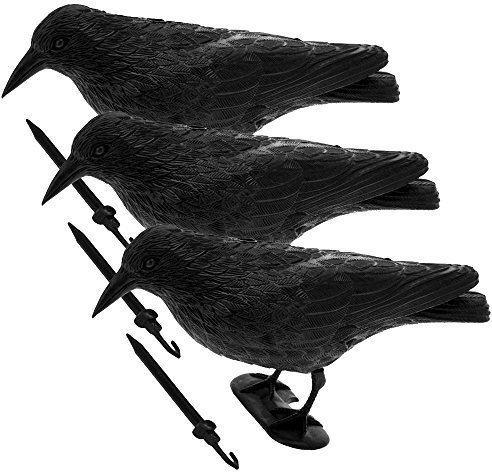 CB Home & Style Taubenschreck 3er Pack Krähe Rabe Taubenabwehr Vogelschreck Lockvogel