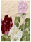 3D Rose Geranien in Rot, Rosa und Weiß, TWL_175420_1 Handtuch, 38,1 x 55,9 cm, Mehrfarbig