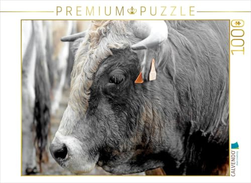 CALVENDO Puzzle Bull Aubrac | 1000 Teile Lege-Größe 64 x 48 cm Foto-Puzzle für glückliche Stunden
