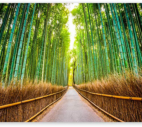 murando Fototapete selbstklebend 98x70cm Foto Tapete Tapetenfolie Möbelfolie Wandverkleidung Wandtapete Motivtapeten Bildtapete Wohnzimmer 3d Effekt Natur Wald Landschaft grün Straße Bambus Sonne