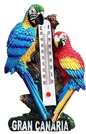 3D-Kühlschrankmagnet, Ara, Gran Canaria, Spanien, Souvenir, Geschenk, Heimküche, Dekoration, Magnetaufkleber, Bastelkollektion
