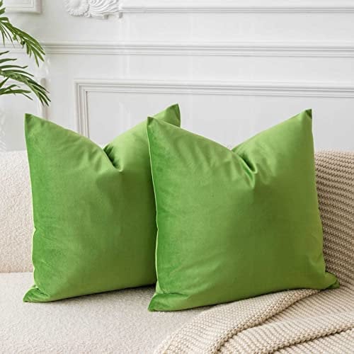 JUSPURBET Apfelgrün Samt-Kissenbezüge 45cmx45cm 2er-Set für Wohnzimmer Couch Sofa Schlafzimmer Dekorative Quadratische Feste Weiche Kissenhüllen mit unsichtbarem Reißverschluss