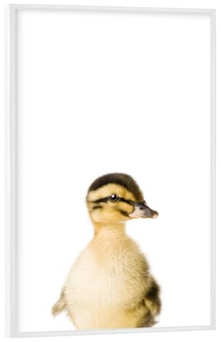 artboxONE Poster mit weißem Rahmen 75x50 cm Babyzimmer Tiere Baby Duck - Bild Farm Baby Children
