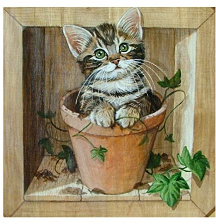 5D Diamond Painting Katze,Blumentopf, Vollständiges Diamant Painting Bilder für Erwachsene, Rundes Diamant Malset, Strasskunst DIY Bilder, Kunsthandwerk für Zuhause Wand Dekor 30x30cm
