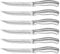 Ruffulon Couteau à Steak, 6 couteaux à steak en acier inoxydable, ensemble de couteaux à steak dentelés, couverts à steak de cuisine, passe au lave-vaisselle ，Dentelés Super Tranchants, 23CM