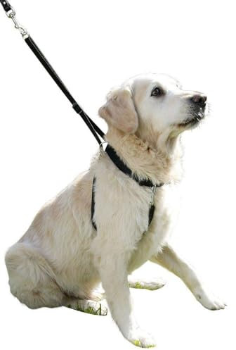 Kerbl Chien Harnais Maxi Leader 55-80 cm Noir