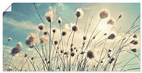 ARTLAND Wanddeko Poster & Kunstdrucke Wandposter 100x50 cm Blumen Blüten Botanik Gräser Wollgras Himmel Sonne Wolken Frühling T2GI