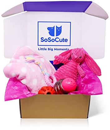 SoSoCute Pinke Hunde-Geschenkbox – Kauspielzeug für Welpen, Set mit 5 Stück – Welpenpflege-Paket mit Hundedecke, Gummi-Beißring, Ball zum Beißen und Leckerli-Ball für kleine und mittelgroße Hunde