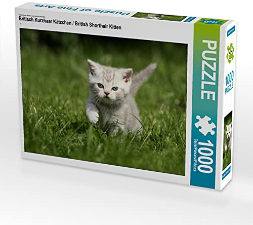 CALVENDO Puzzle Britisch Kurzhaar Kätzchen/British Shorthair Kitten 1000 Teile Puzzle quer | Lege-Größe cm Foto-Puzzle für glückliche Stunden