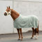 SUNRIDE Abschwitzdecke “Wellington” für Pferde aus weichem Fleece (280g/m²) - schnelltrocknend und leicht (145 cm, Olive)