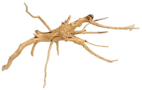 Yaztauho en Bois Flotté pour Aquarium, Branches en Bois Naturel, d'arbre en Bois Massif pour Reptiles, Décoration De Terrarium, Accessoires pour Petits Poissons