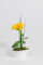 Künstliche – Material Schnitt künstlichen Gerbera Vase Porzellan H 26 cm – wählen Sie Ihr Material: Gelb 26 x 14 cm