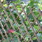 Suinga - TREILLIS en Osier Extensible, 50 x 150 cm pour jardin. Soie artificielle extensible.