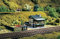 Auhagen 13243 DIY, 17 x 9 x 3.3 cm