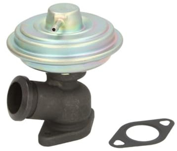 Magneti Marelli 571822112104 Egr Citroen, Peugeot
