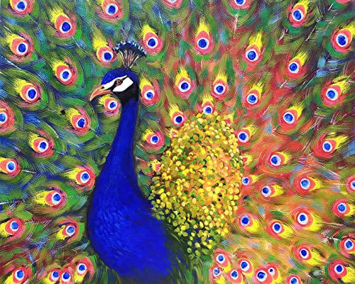 TISHIRON Malen nach Zahlen Erwachsene Pfau Malsets für Erwachsene Kinder Kinder Malen nach Zahlen Acrylmalerei Malerei Leinwand Geschenk für Zuhause Büro Dekorationen 40 x 50 cm(rahmenlos)