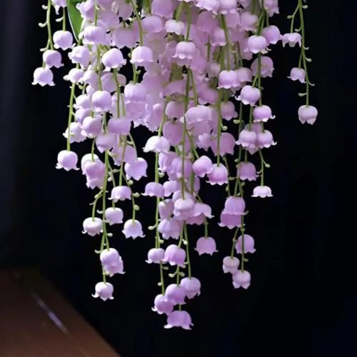 Lily of The Valley-Excellent Display,Lily of The Valley Plants UK,Hardy Perennial-I-3 Bulbs