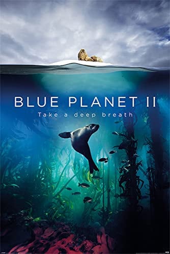 Landschaften - Blue Planet 2 - Deep Breath - Poster Plakat Druck - Grösse 61x91,5 cm