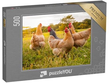 puzzleYOU: Puzzle 500 Teile „Hühner auf der Wiese“ – aus der Puzzle-Kollektion Hühner & Küken, Bauernhof-Tiere