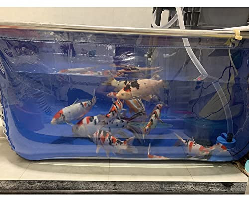 PVC-Plane mit Stahlrahmen für Fischteiche, Wassergärten und Teichfolien und Dichtungen, Sichtfenster und Ablassventil, Wassertank für gezüchtete Koi, Goldfische (Farbe: Blau-klar, Größe: 120 x 80 x