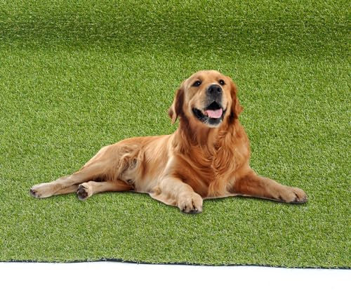 Fiqops Kunstrasen, 200 x 300 cm Rasenteppich Outdoor UV-beständig,Kunstrasen Balkon Wetterfest,Kunstrasenteppich Grün,Rasenteppich Meterware für Terrasse,Artificial Grass (Höhe: 2cm)