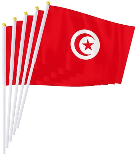 PTEROSAUR Lot de 50 drapeaux tunisiens à main, 14 x 21 cm, petits drapeaux nationaux africains tunisiens, drapeaux à agiter à main (50)