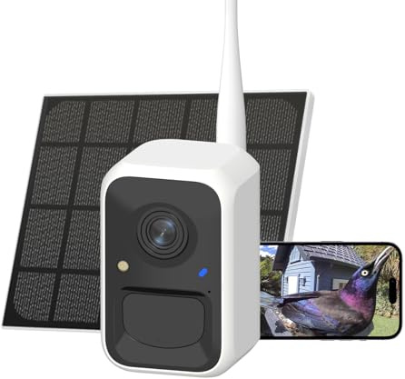 Birdfy Upgraded Smart Bird Feeder Camera, Solar Powered, Auto Bird Video Capture, Instant Notifications, AI Identify 6000+ Species