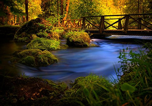 XXL Poster 100 x 70cm (S-847) Bach im grünen Wald mit filigraner Holzbrücke (Lieferung gerollt!)