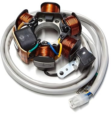 Lichtmaschine für Piaggio 50 AC alt - Sfera/Free RMS
