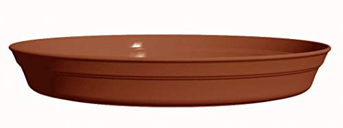 Poétic Soucoupe, Terre Cuite