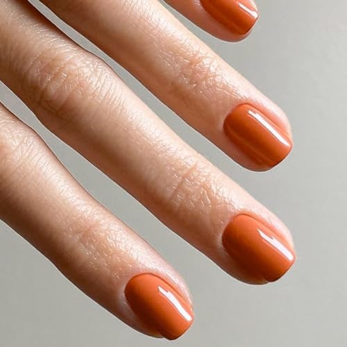 Ceboic 24Pcs French Faux Ongles Court Carrés Press on Nails Couleur Pure Acrylique Couverture Complète Ongles à Coller Naturel Artificiels Faux Ongles pour Femme et Fille DIY Manucure (Orange)