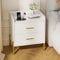 FiveWillowise Nachttisch mit Steckdosen, Nachtschrank mit 2 Schubladen, 2 USB-Anschlüssen, Metallische Tischbeine, Moderner Simplizistischer Stil, für Schlafzimmer, Wohnzimmer, Weiß
