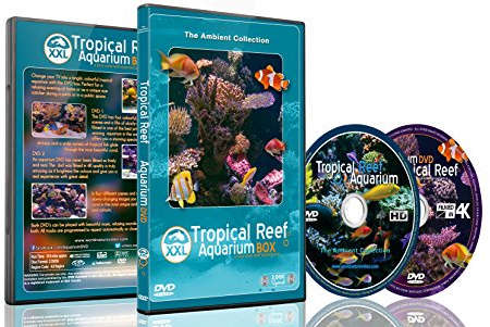 Aquarium DVD - 2 DVD Set Tropisches Riff Aquarium XXL Box mit natürlichen Klängen und entspannender Musik