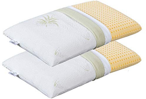 EVERGREENWEB 2er Set Orthopädische Viscoschaumstoff Kissen 40x70 h9 cm Kern aus Viscoelastische Viscoschaum und Kissenbezug Aloe Vera Kopfkissen, Nackenkissen, Medizinisches Gerät, Made in Italy