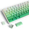 Owpkeenthy Side-Printed PBT Keycaps, Double Shot Shine Through Custom Cherry Profile Green 135 Keys Gradient Keycap Set, for 60% 65% 75% 100% MX Switches South-Facing Mechanical Keyboard(Bedew)