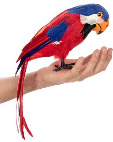 Funidelia | Piraten-Papagei Tiere, Vögel - Dekoration für Geburtstagsfeiern, Kostümpartys, Halloween und Fasching - Bunt