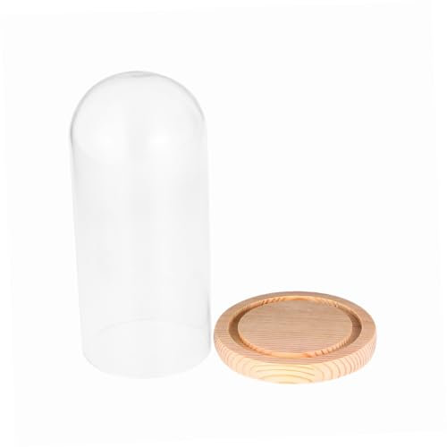 GRIRIW Schwarzes Lebensmittelschutz Desktop-Monitore Cloche-Kuppel anzeigen DIY schwarze Kerzen Pflanzendekor Glaskuppel Esstisch schmücken Diffusor Container Vitrine Hölzern