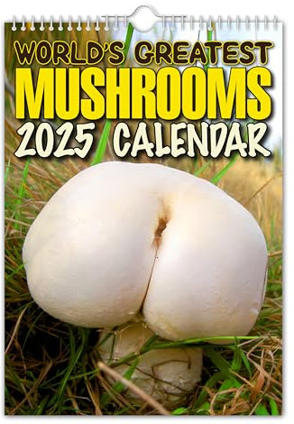 The Calendar King // World's Greatest Mushrooms - 2025 Wall Calendar - Funny/Quirky/Christmas/Birthday/Gift Idea/Present/Novelty/Humour/Secret Santa/Year Planner (Full Colour, A4 Size)